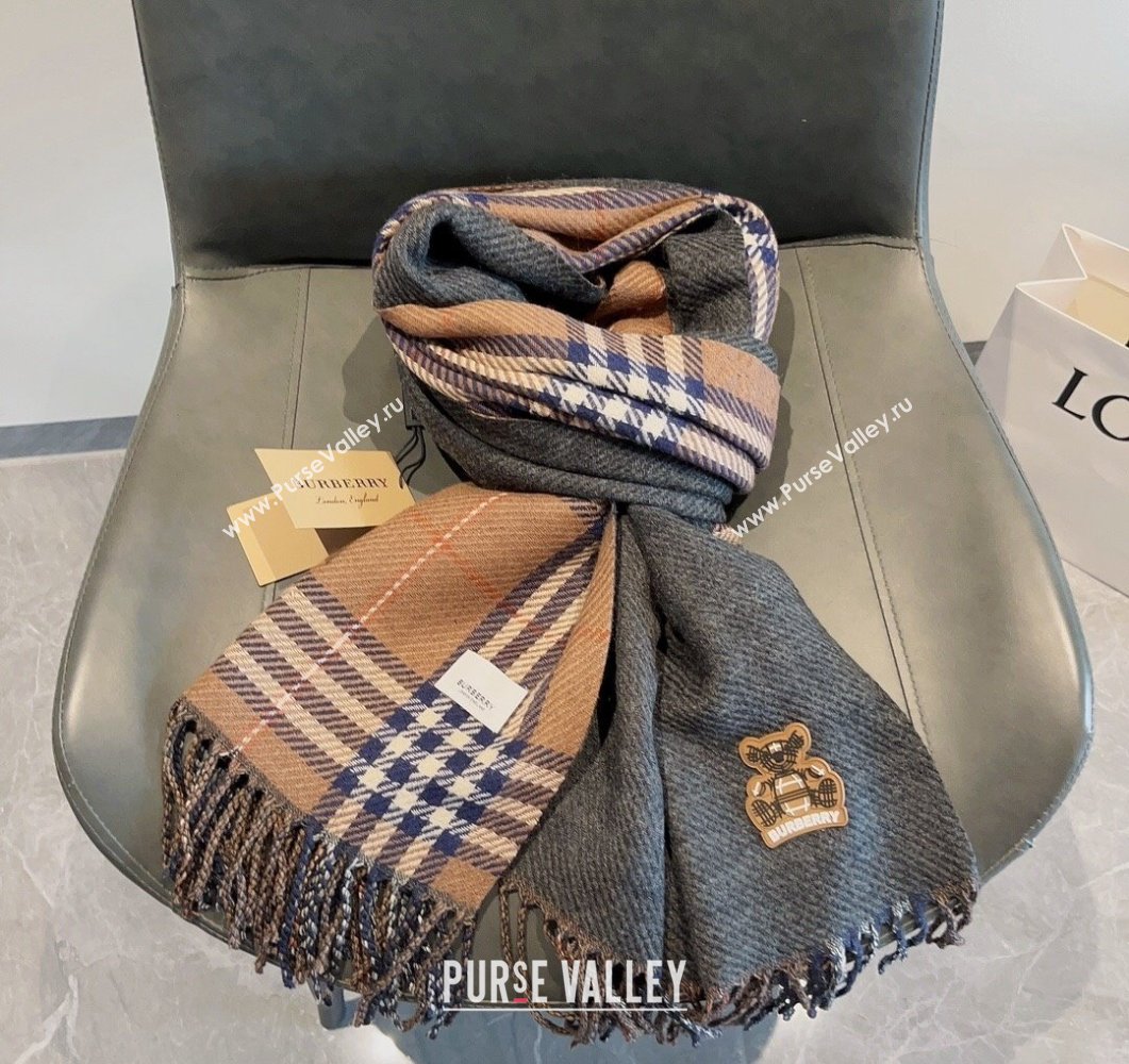 Burberry Check Long Scarf 70x185cm Brown 2023 BR09054 (XMN-230905019)