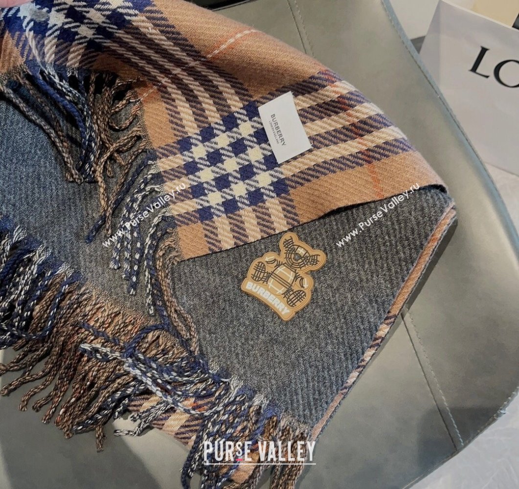 Burberry Check Long Scarf 70x185cm Brown 2023 BR09054 (XMN-230905019)