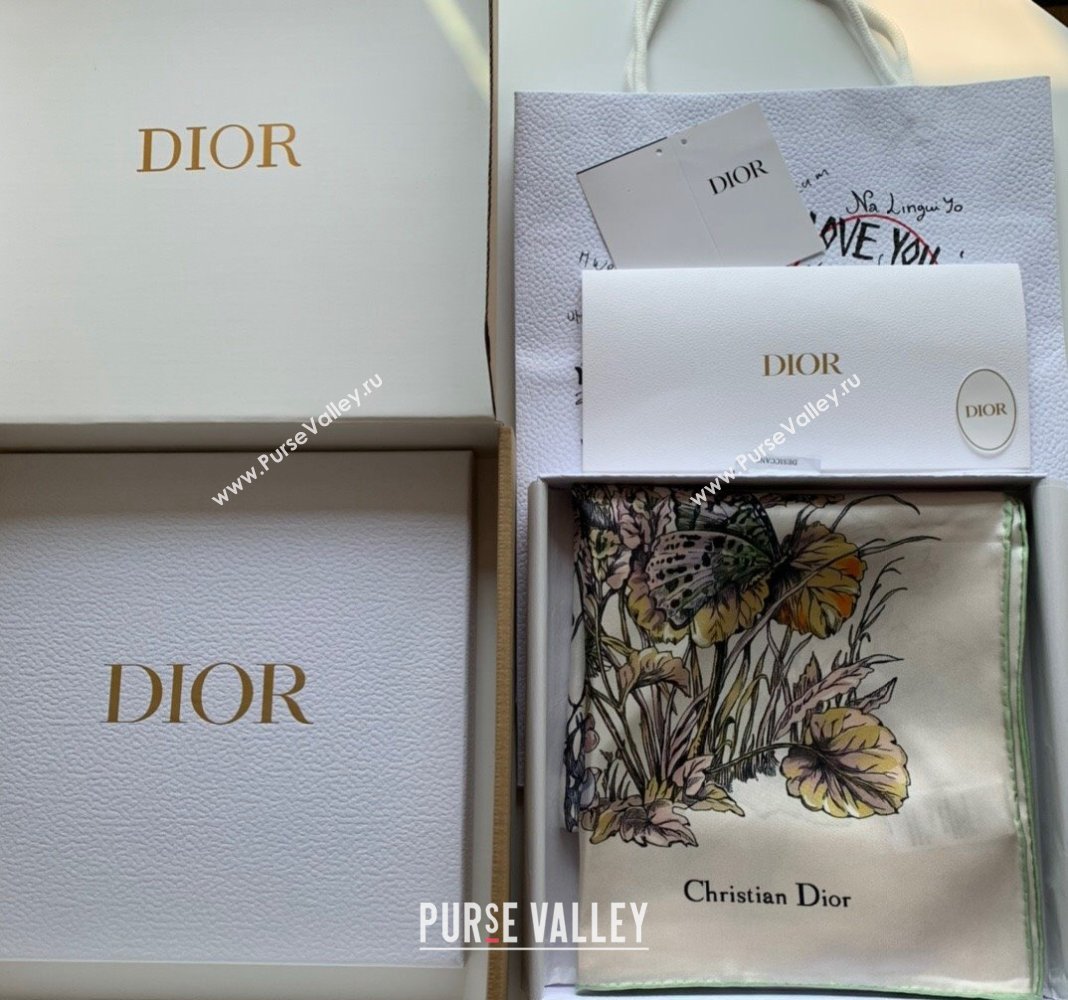 Dior Butterfly Silk Sqaure Scarf 90x90cm Green 2023 DR122101 (WNS-231221019)