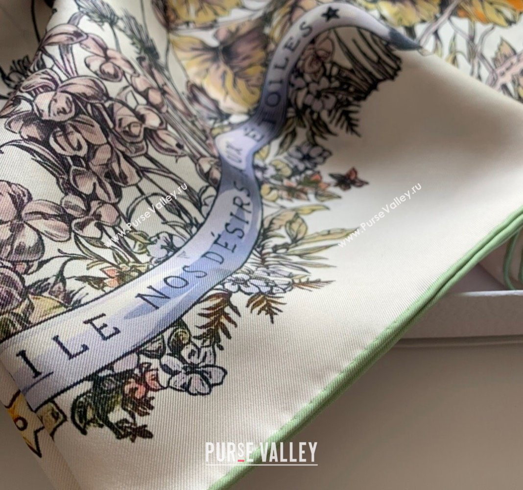 Dior Butterfly Silk Sqaure Scarf 90x90cm Green 2023 DR122101 (WNS-231221019)