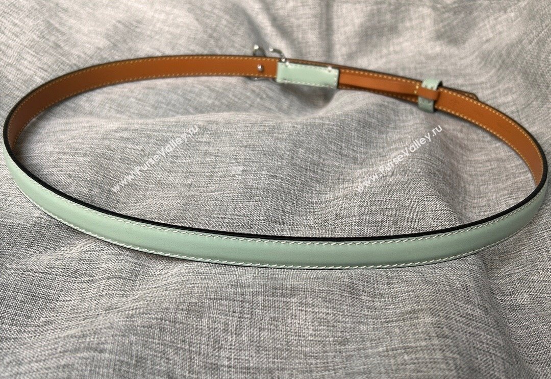 Loewe Calfskin Belt 1.5cm with Logo Buckle Light Green 2024 0113 (99-240113033)