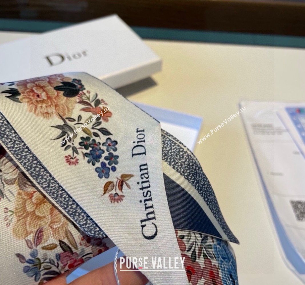 Dior Mizza Silk Bandeau Scarf 5x86cm Grey 2024 0304 (XMN-240304029)