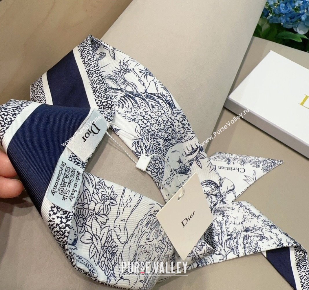 Dior Silk Bandeau Scarf 6x100cm Blue 2024 0304 (XMN-240304040)
