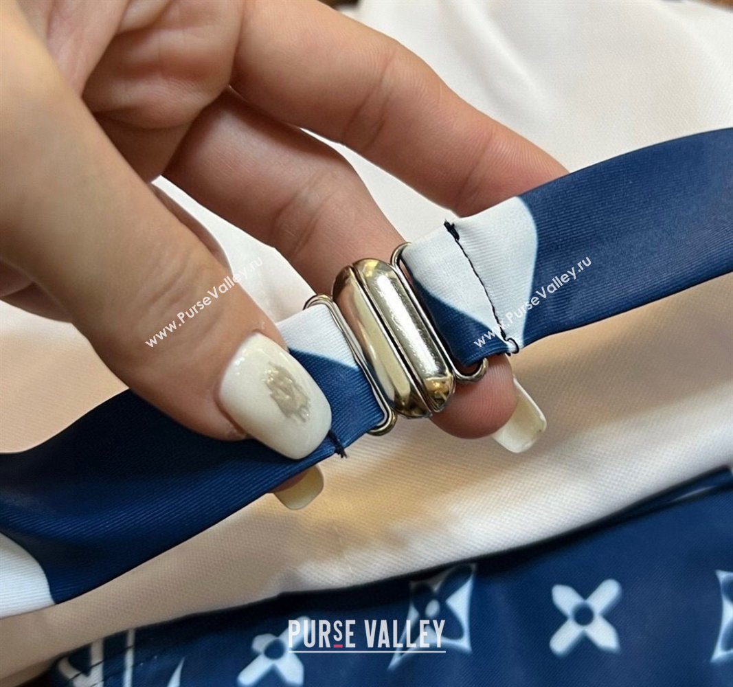 Louis Vuitton Two Pieces Swimwear Navy Blue 2024 030601 (XMN-240306052)