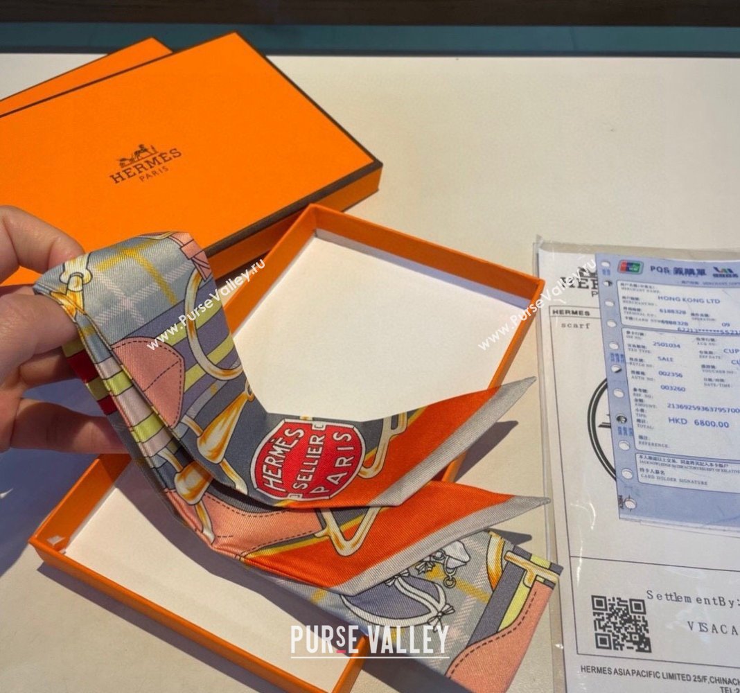 Hermes Silk Bandeau Scarf 5x86cm Grey 2024 0305 (XMN-240304048)