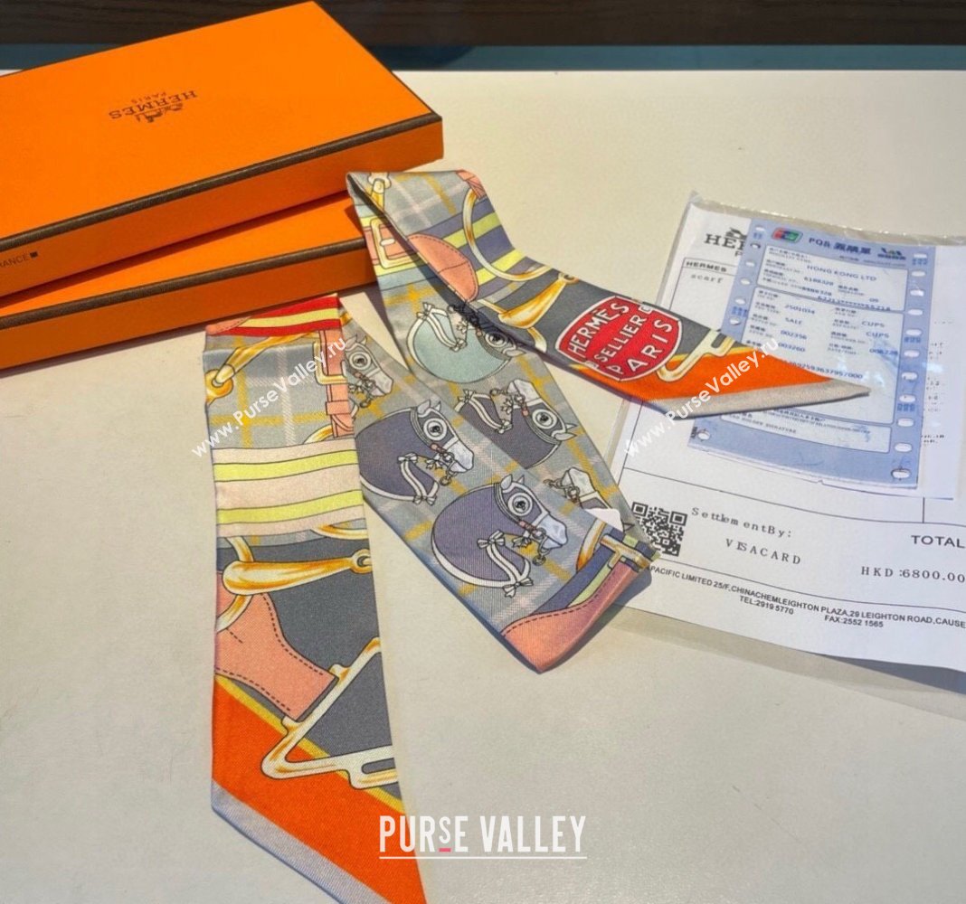 Hermes Silk Bandeau Scarf 5x86cm Grey 2024 0305 (XMN-240304048)