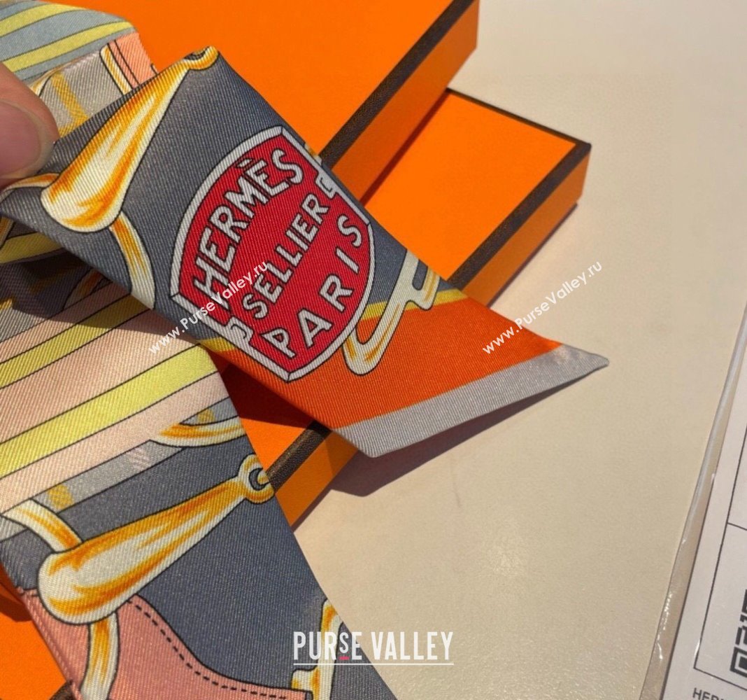 Hermes Silk Bandeau Scarf 5x86cm Grey 2024 0305 (XMN-240304048)
