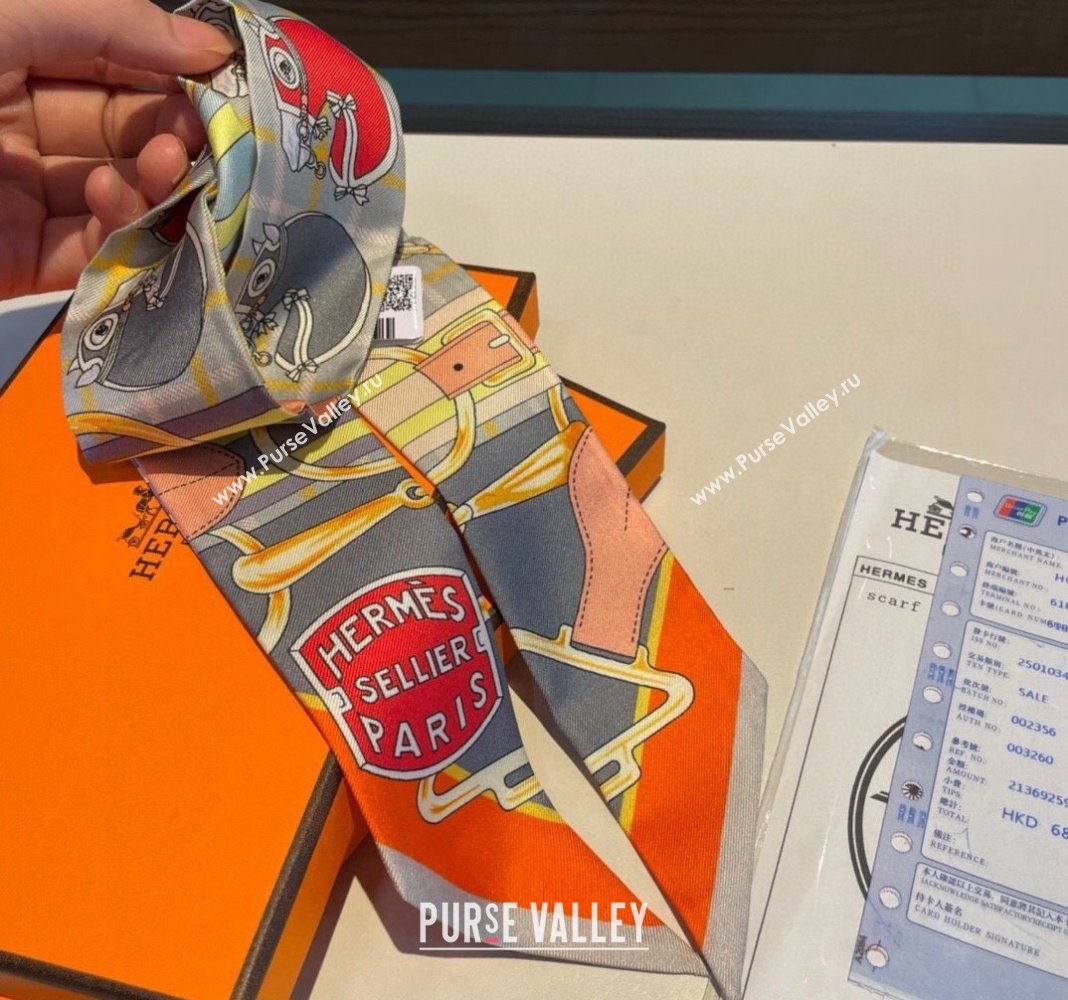 Hermes Silk Bandeau Scarf 5x86cm Grey 2024 0305 (XMN-240304048)