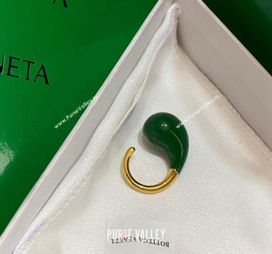 Bottega Veneta Drop Earrings Green 2024 0301 (YF-240301049)