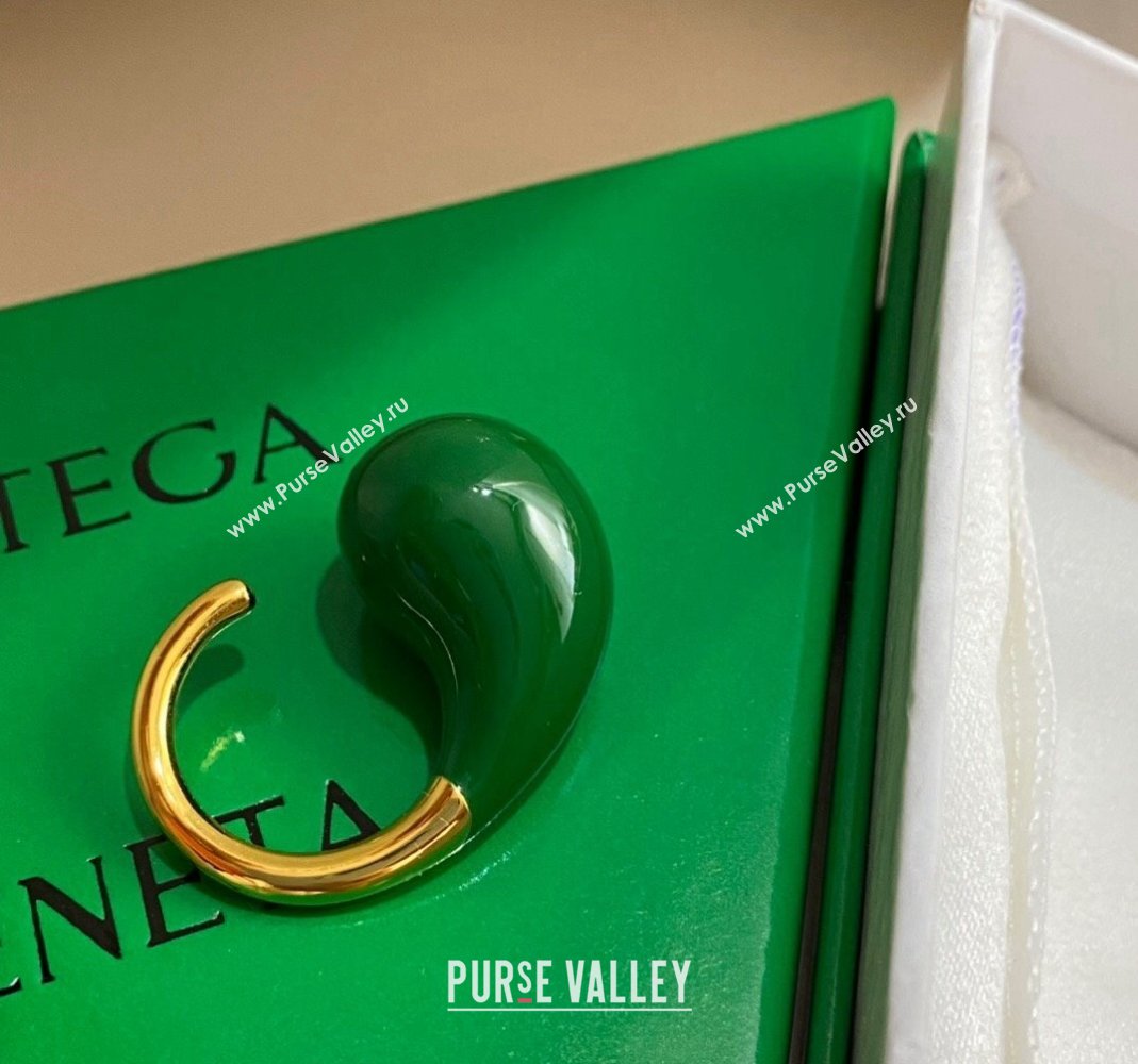Bottega Veneta Drop Earrings Green 2024 0301 (YF-240301049)