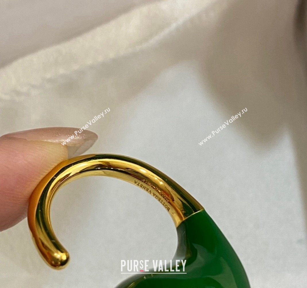 Bottega Veneta Drop Earrings Green 2024 0301 (YF-240301049)