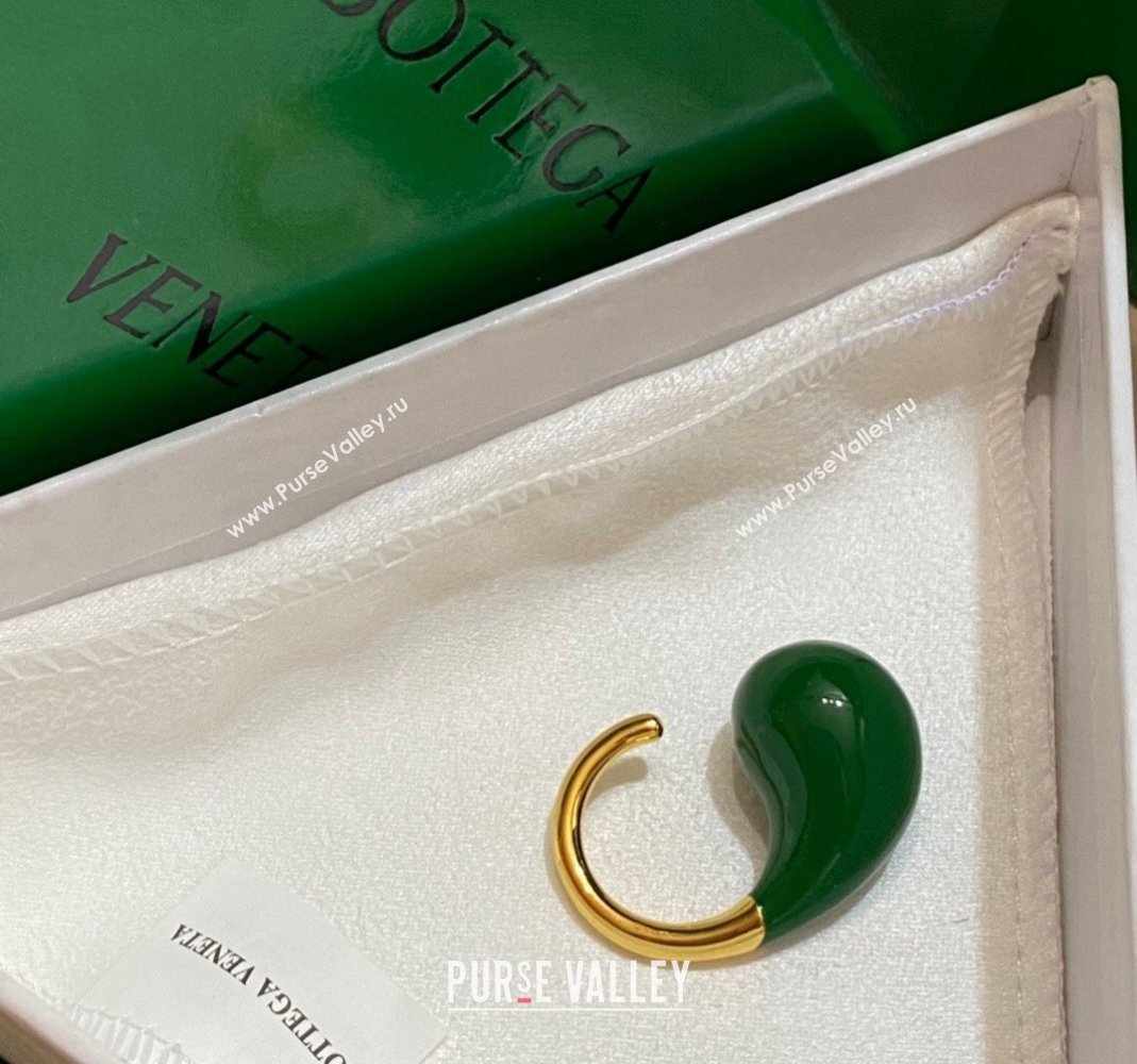 Bottega Veneta Drop Earrings Green 2024 0301 (YF-240301049)