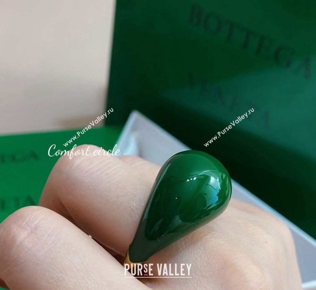 Bottega Veneta Drop Earrings Green 2024 0301 (YF-240301049)