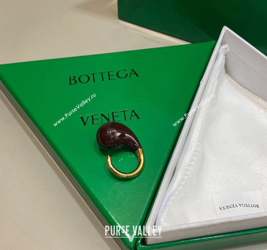 Bottega Veneta Drop Earrings Brown 2024 0301 (YF-240301050)