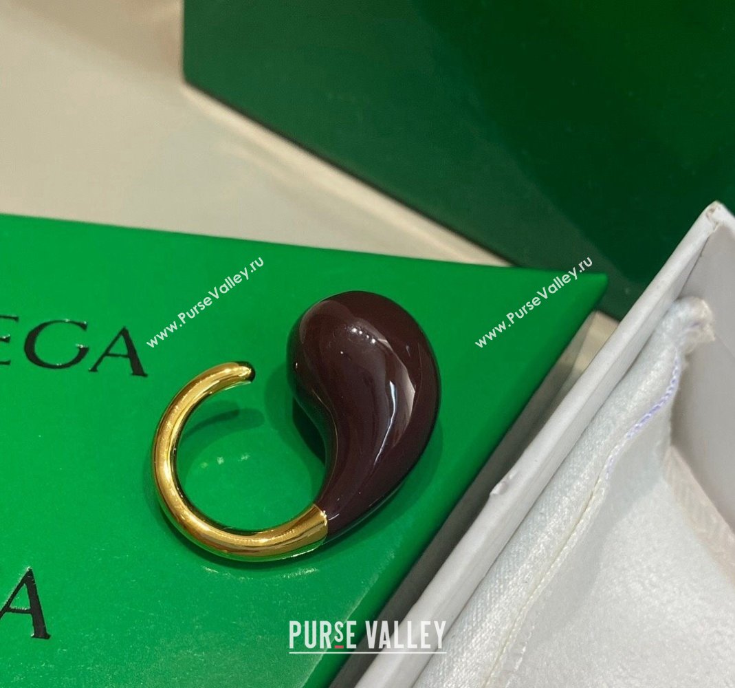 Bottega Veneta Drop Earrings Brown 2024 0301 (YF-240301050)