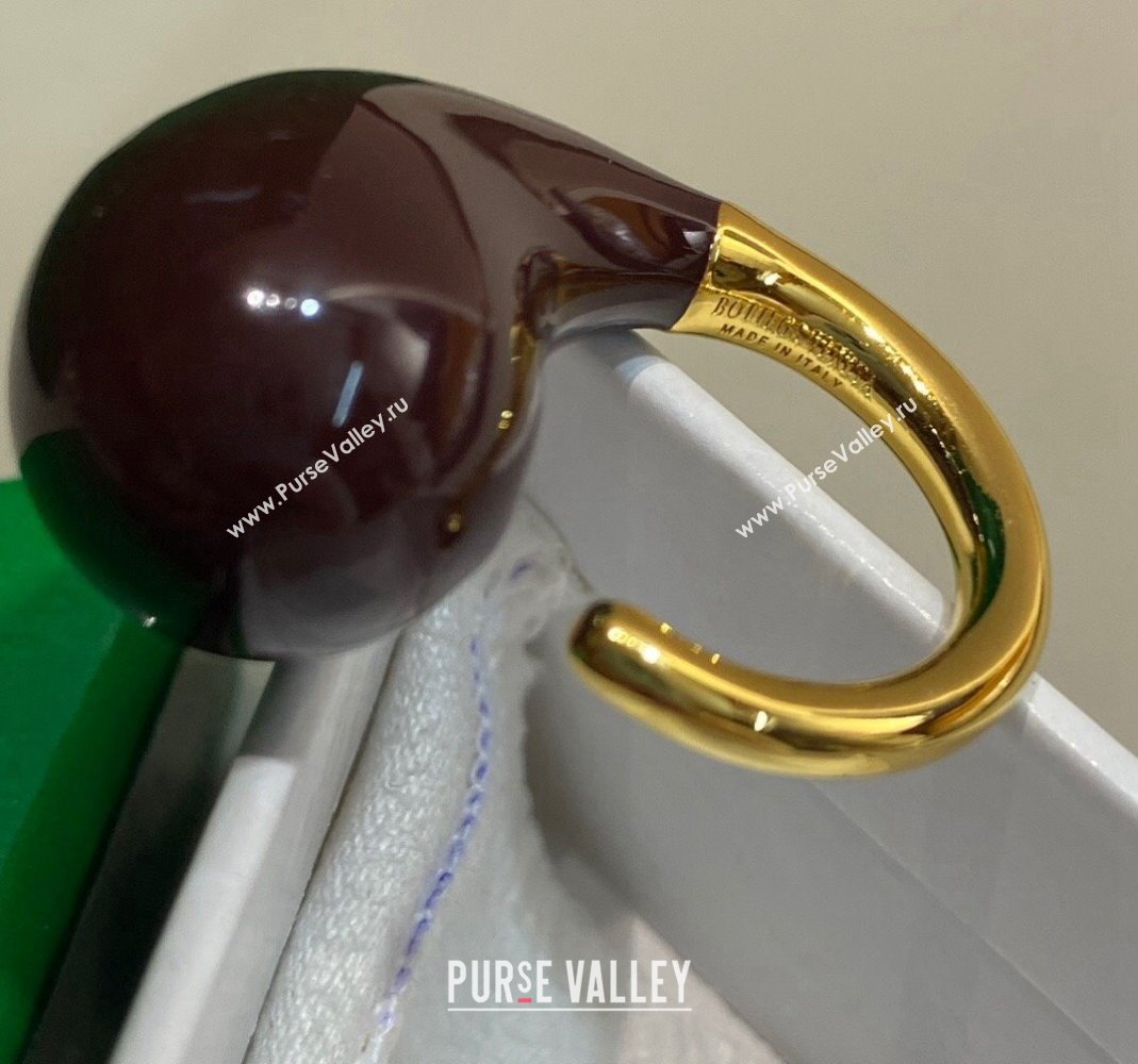 Bottega Veneta Drop Earrings Brown 2024 0301 (YF-240301050)