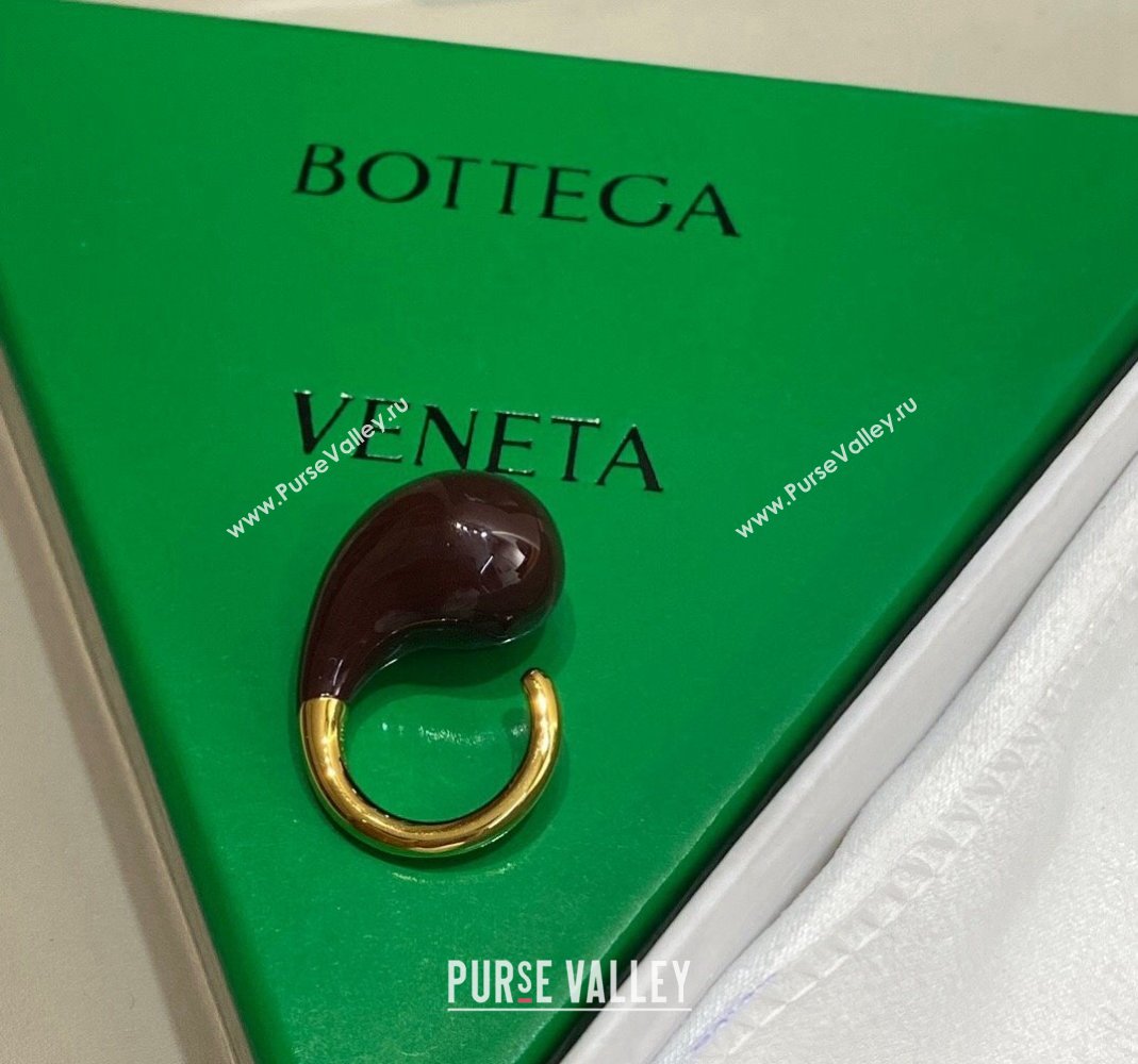 Bottega Veneta Drop Earrings Brown 2024 0301 (YF-240301050)