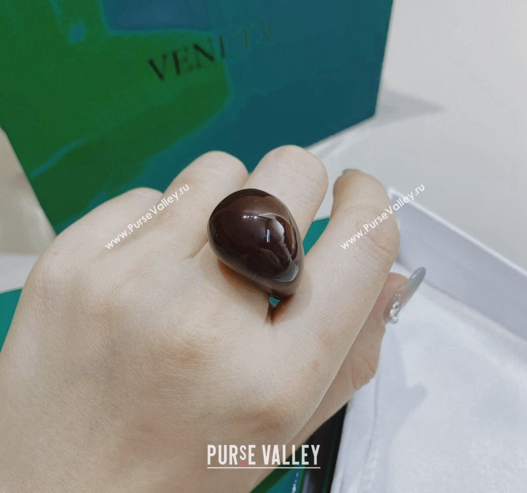 Bottega Veneta Drop Earrings Brown 2024 0301 (YF-240301050)