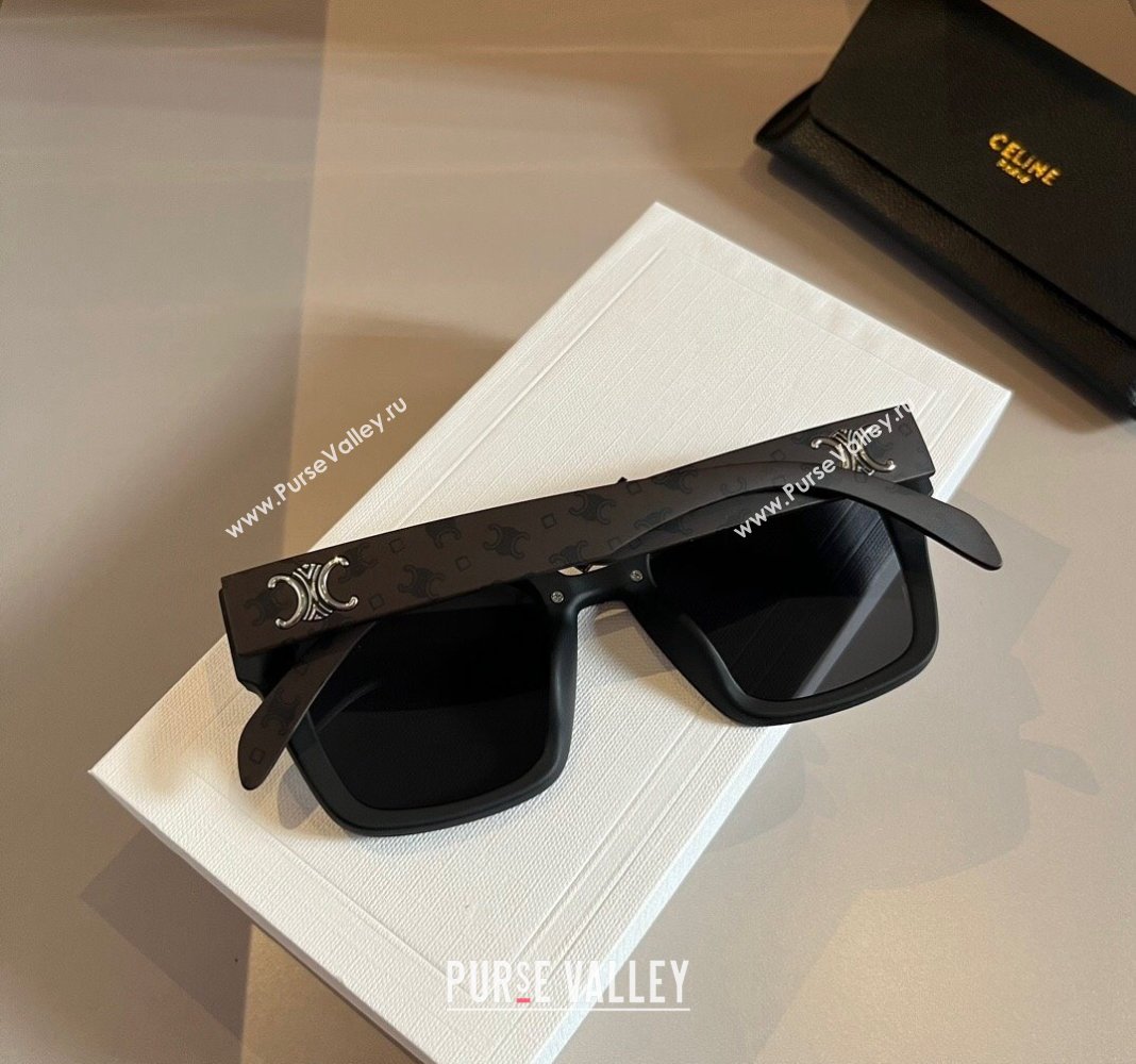 Celine Sunglasses Black 2024 030401 (XMN-240304121)