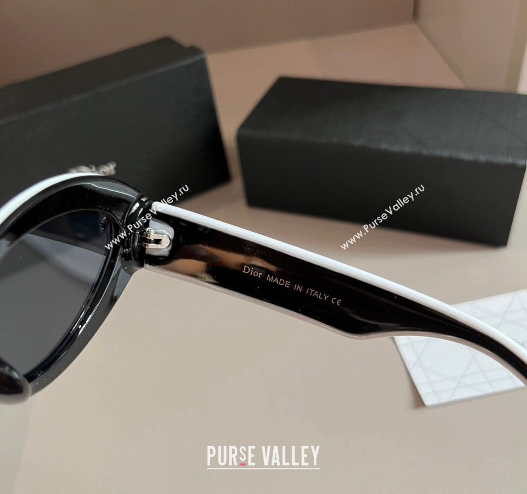 Dior Sunglasses White2/Black 2024 030401 (XMN-240304134)
