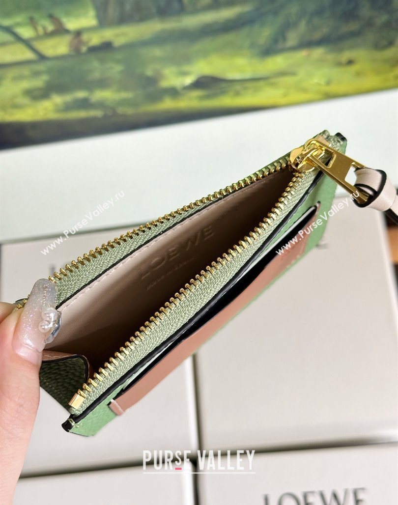 Loewe Large Coin Card Holder in Soft Grained Leather Green 2024 0402 (HY-240402130)