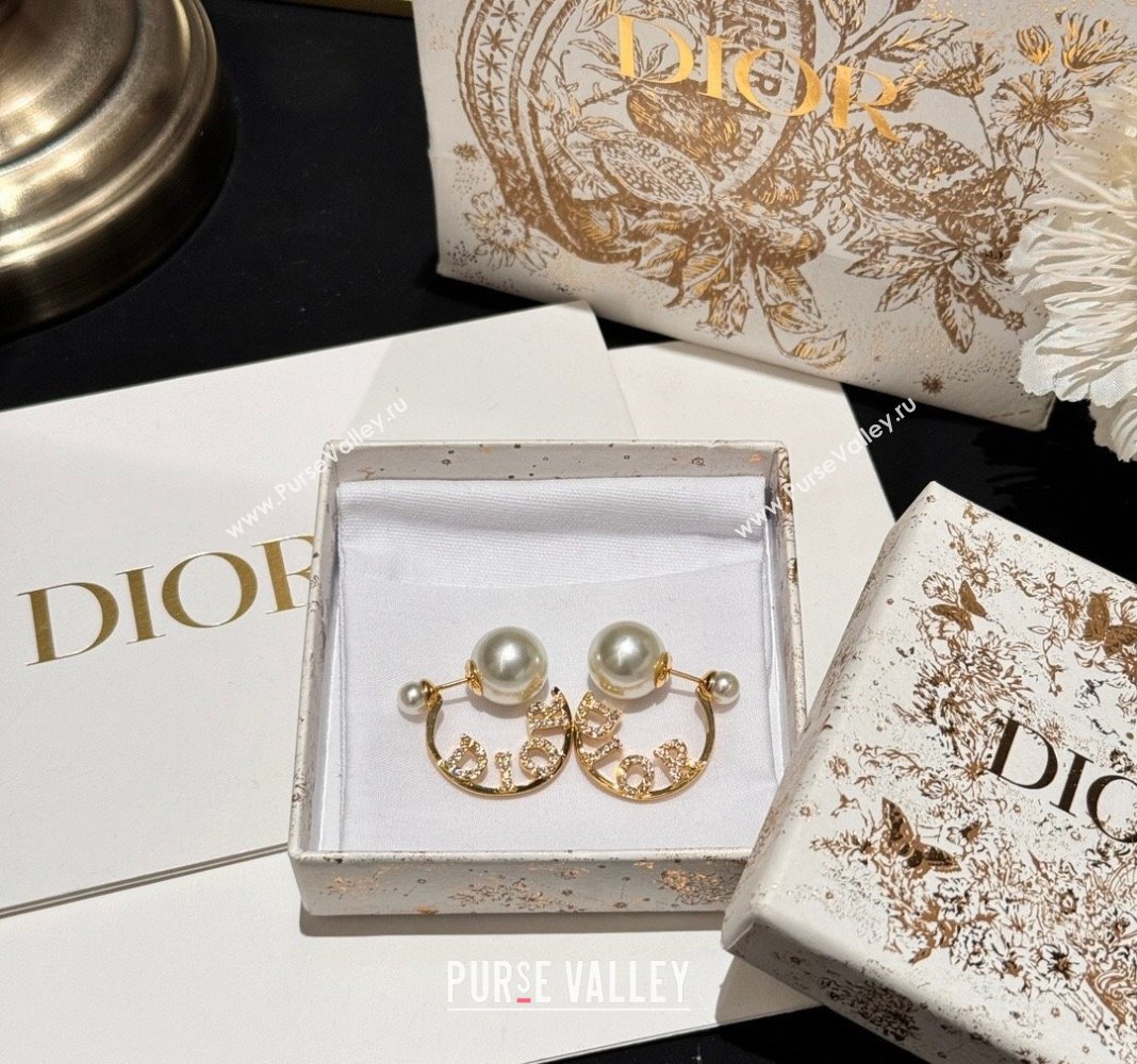 Dior Tribales Earrings 2024 0409 (YF-240409027)