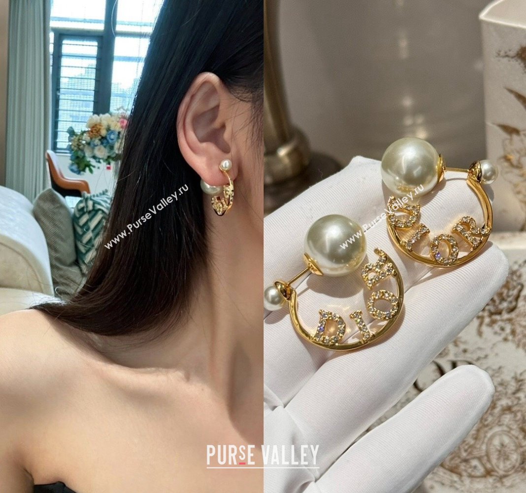 Dior Tribales Earrings 2024 0409 (YF-240409027)