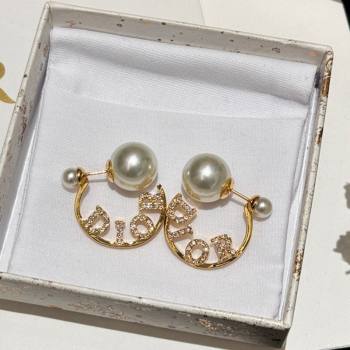 Dior Tribales Earrings 2024 0409 (YF-240409027)