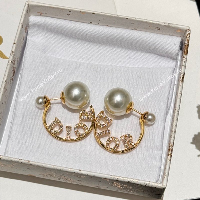 Dior Tribales Earrings 2024 0409 (YF-240409027)