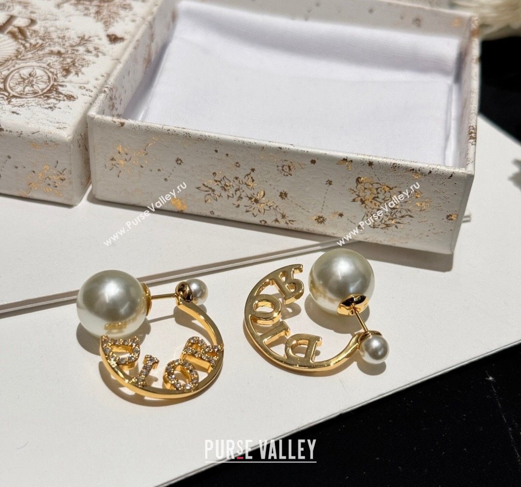 Dior Tribales Earrings 2024 0409 (YF-240409027)