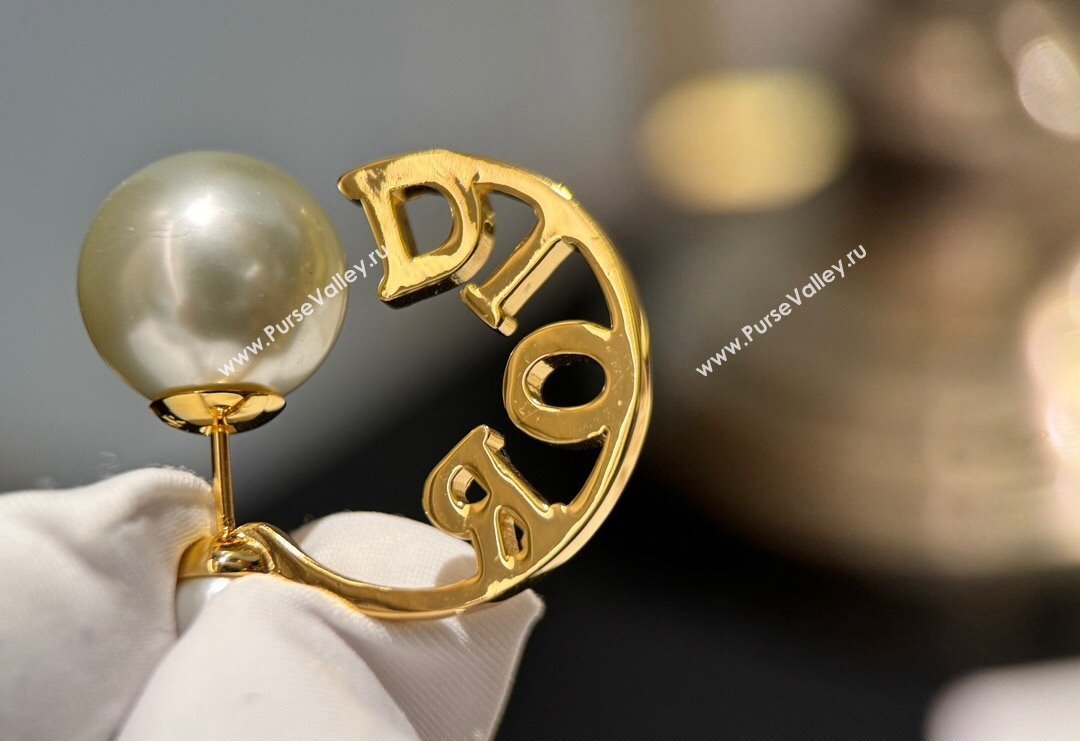 Dior Tribales Earrings 2024 0409 (YF-240409027)