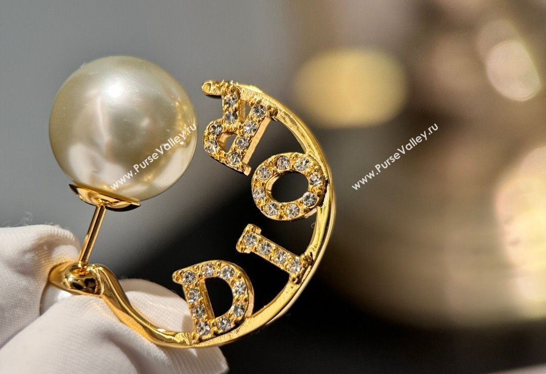 Dior Tribales Earrings 2024 0409 (YF-240409027)