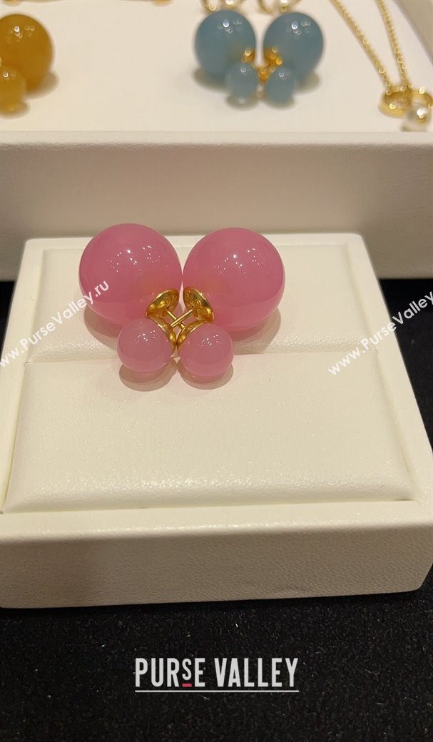 Dior Tribales Earrings Pink/Blue/Yellow 2024 (YF-240409029)