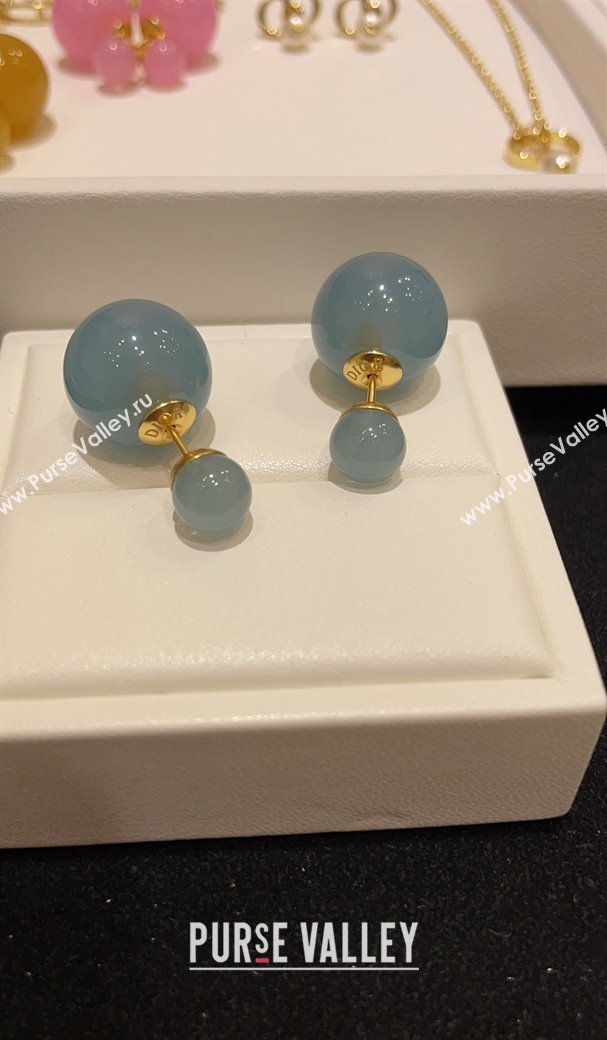 Dior Tribales Earrings Pink/Blue/Yellow 2024 (YF-240409029)