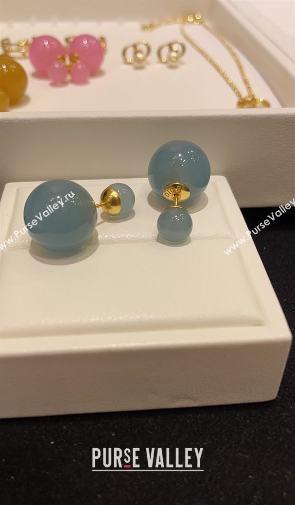 Dior Tribales Earrings Pink/Blue/Yellow 2024 (YF-240409029)