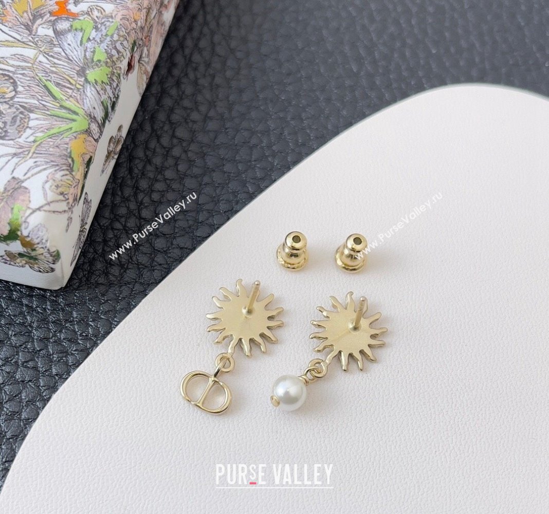 Dior Toile de Jouy Soleil Earrings 2024 0409 (YF-240409031)