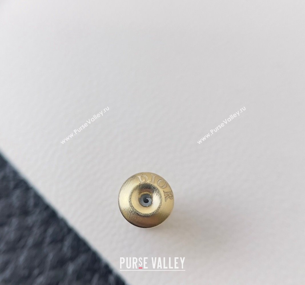 Dior Toile de Jouy Soleil Earrings 2024 0409 (YF-240409031)