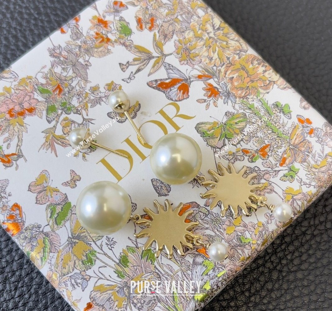 Dior Toile de Jouy Soleil Tribales Earrings 2024 (YF-240409032)