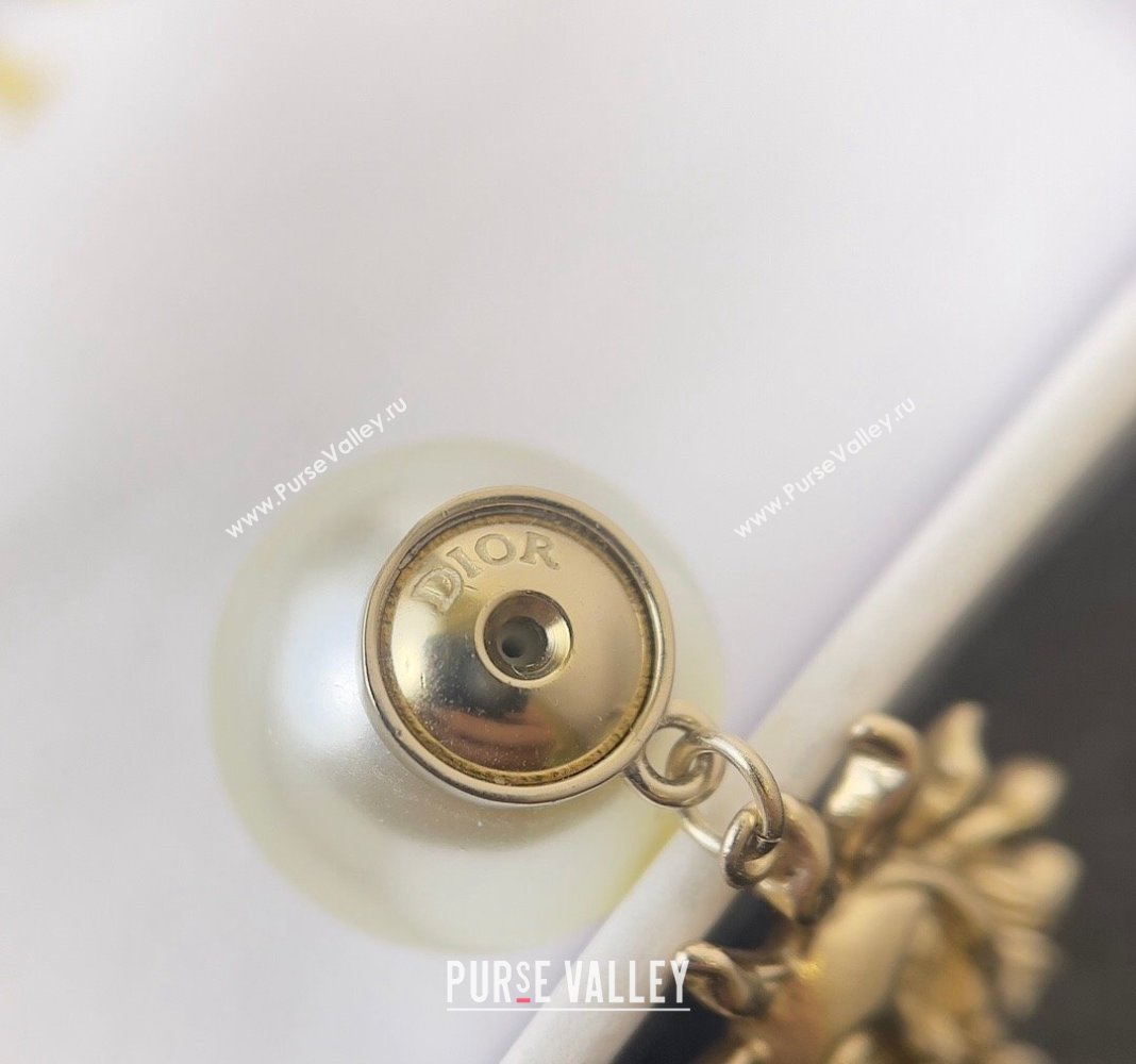 Dior Toile de Jouy Soleil Tribales Earrings 2024 (YF-240409032)