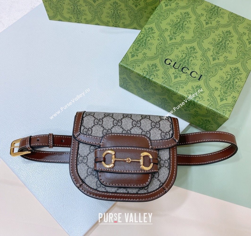Gucci GG Canvas Belt bag Beige/Brown 2025 0317 (99-250317053)