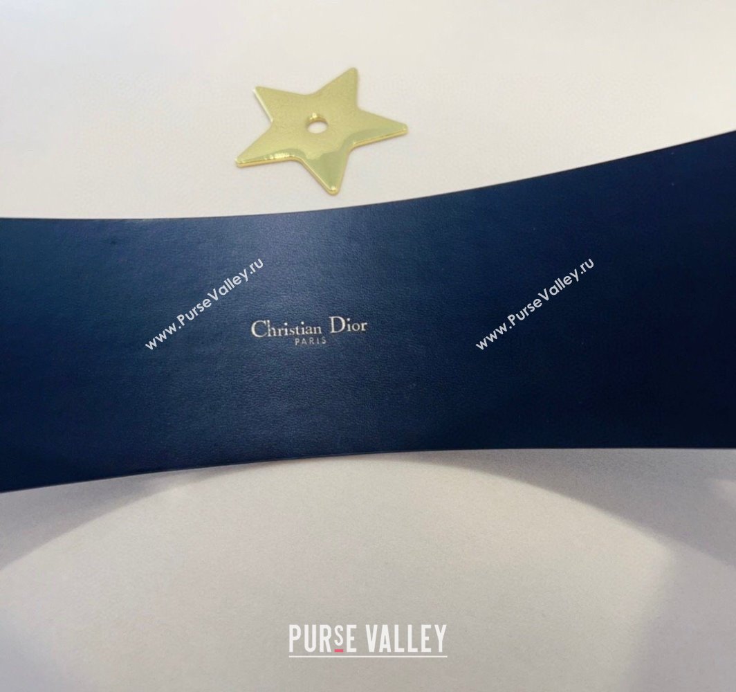 Dior Saddle Black Leather Belt Bag with Pouch 2025 (99-250317056)