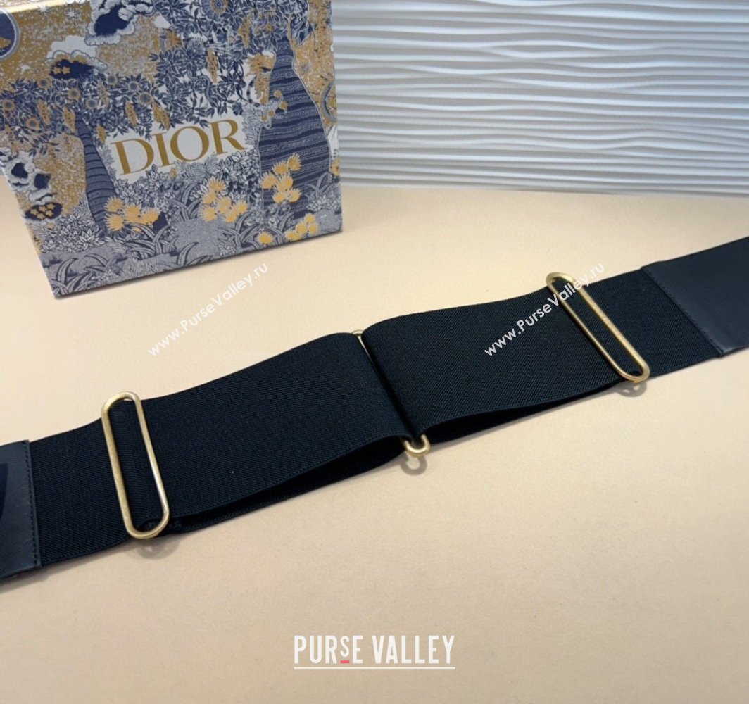 Dior Saddle Black Belt Bag with Pouch in Leather and Stretch 2025 (99-250317057)