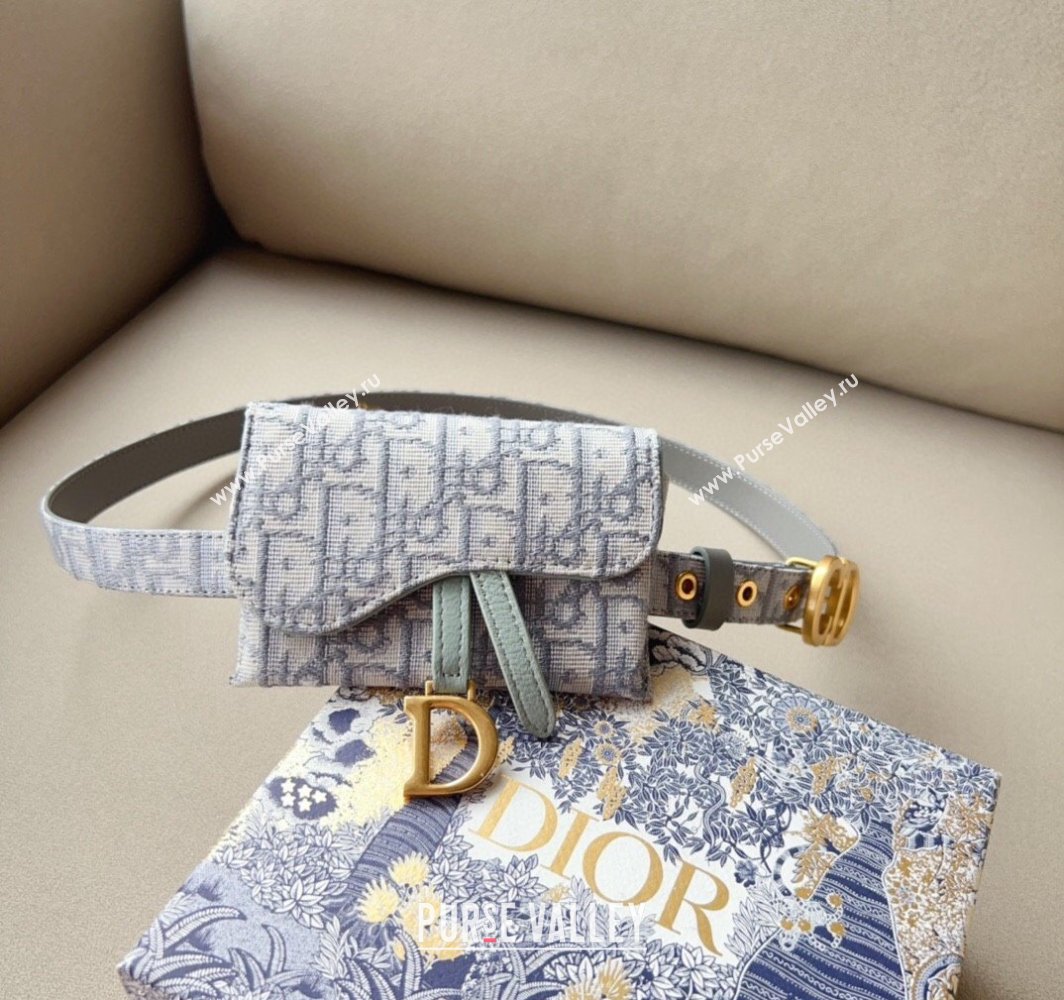 Dior Oblique Card Wallet Belt Bag Mini bag Grey 2025 0317 (99-250317041)