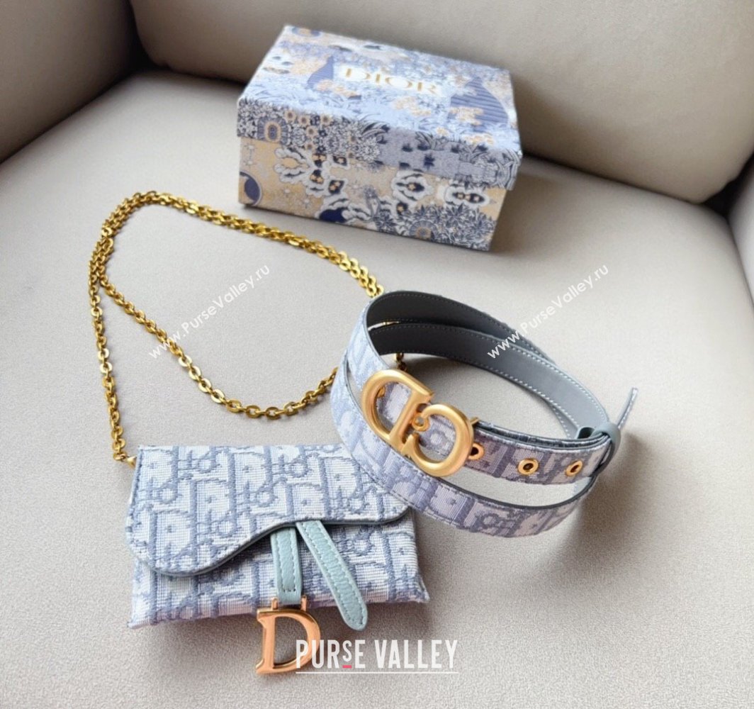 Dior Oblique Card Wallet Belt Bag Mini bag Grey 2025 0317 (99-250317041)