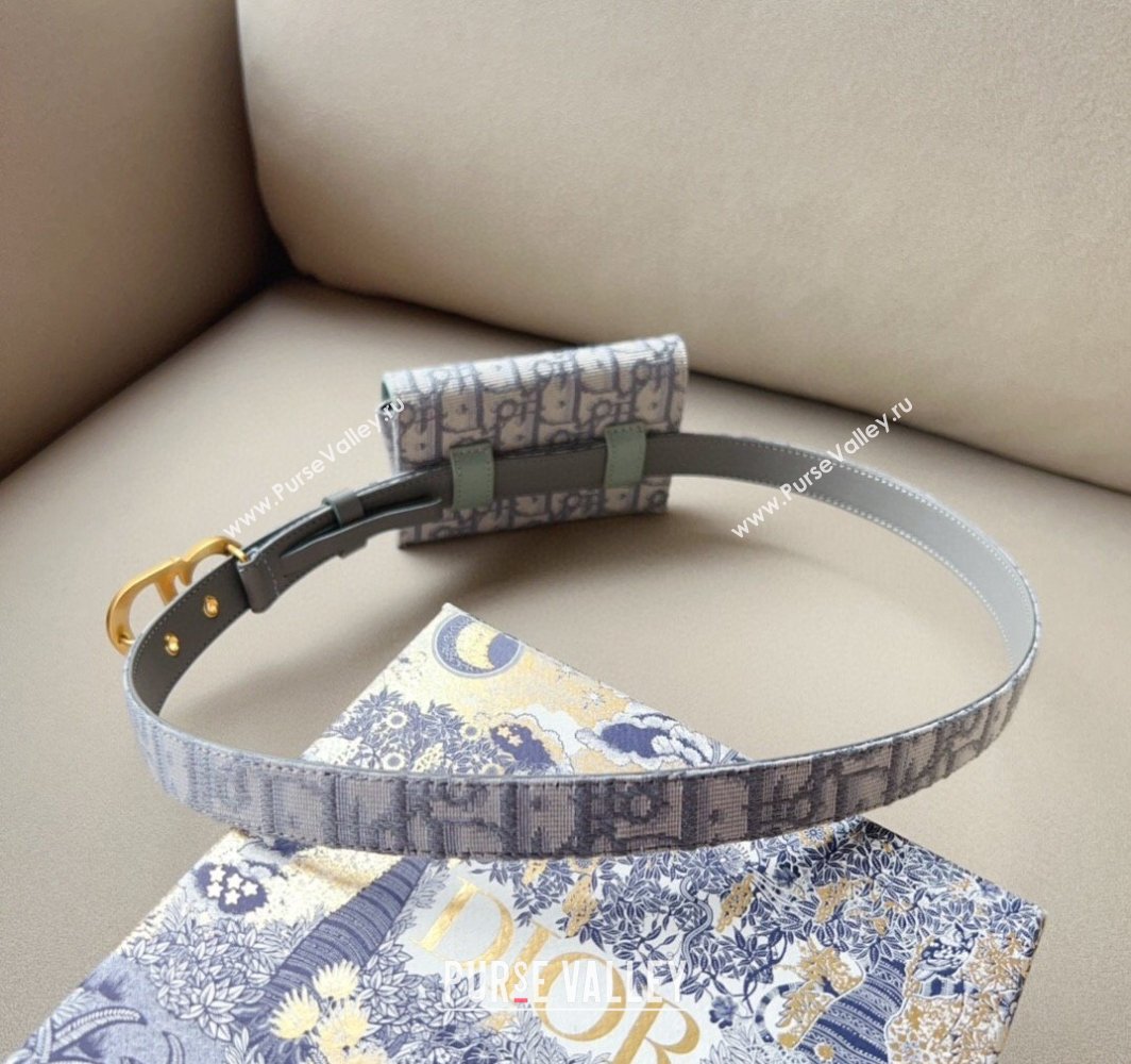 Dior Oblique Card Wallet Belt Bag Mini bag Grey 2025 0317 (99-250317041)