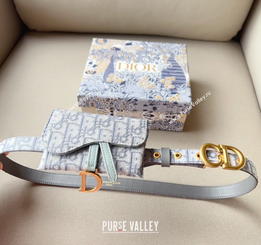 Dior Oblique Card Wallet Belt Bag Mini bag Grey 2025 0317 (99-250317041)