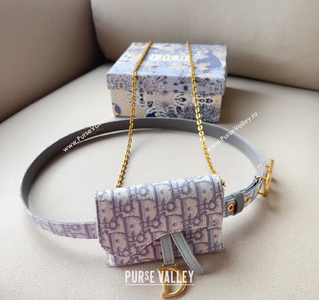 Dior Oblique Card Wallet Belt Bag Mini bag Grey 2025 0317 (99-250317041)