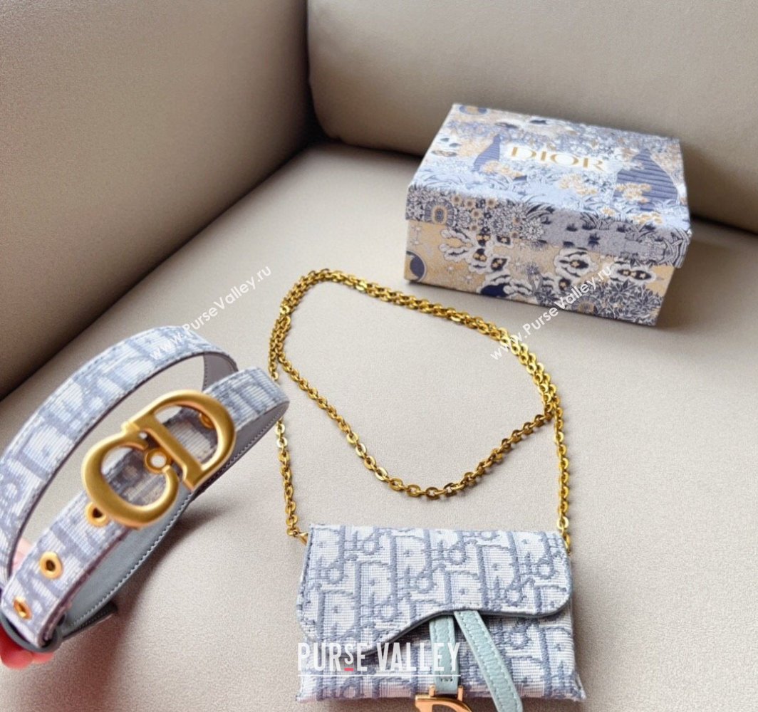 Dior Oblique Card Wallet Belt Bag Mini bag Grey 2025 0317 (99-250317041)