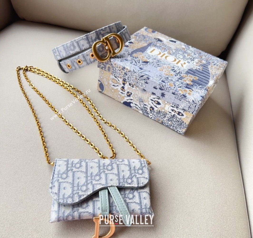 Dior Oblique Card Wallet Belt Bag Mini bag Grey 2025 0317 (99-250317041)