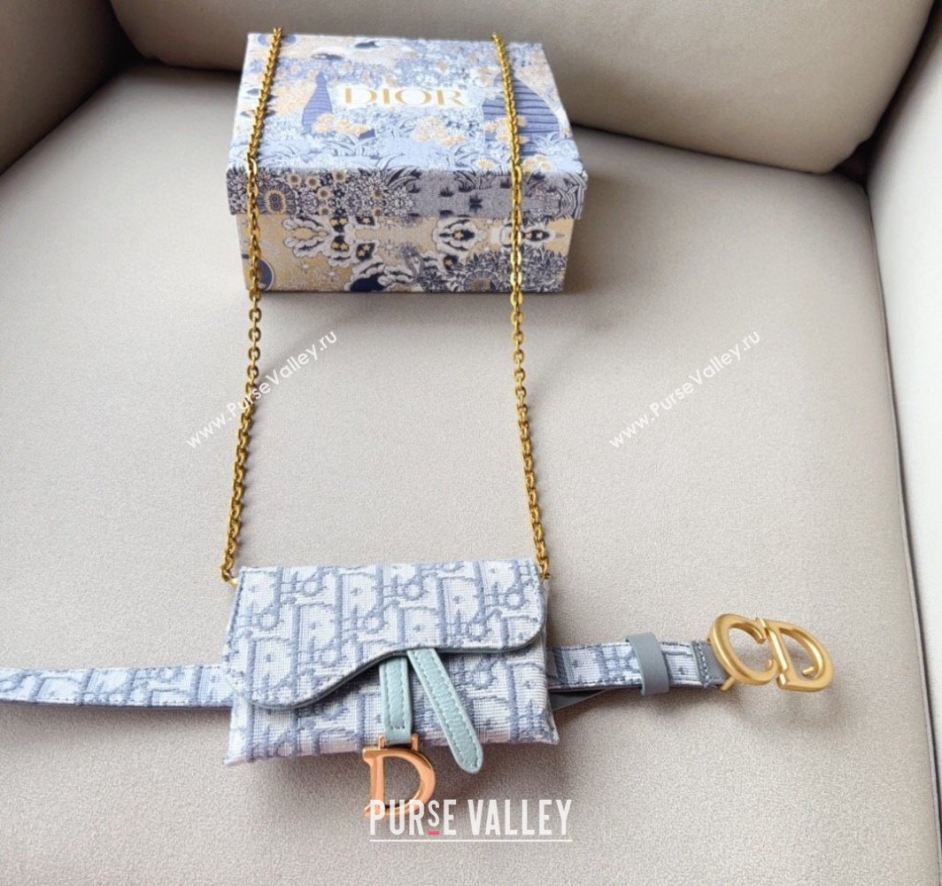 Dior Oblique Card Wallet Belt Bag Mini bag Grey 2025 0317 (99-250317041)